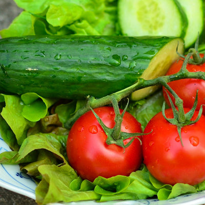 Companion Planting