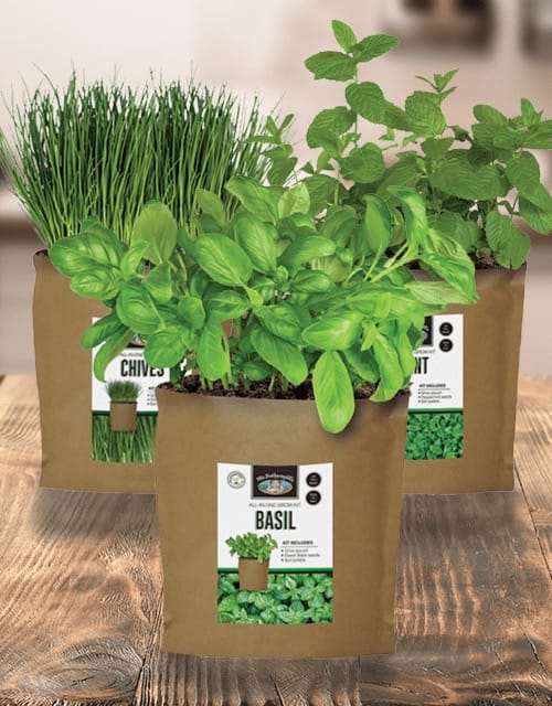 Grow Pouch Kits