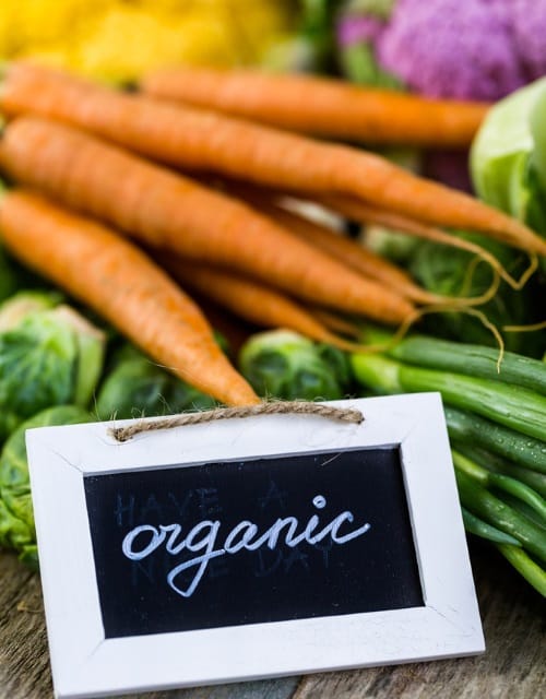 Organic Vegetable Seeds