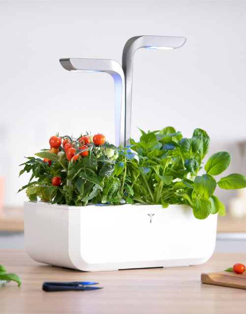 Hydroponics & Smart Gardens