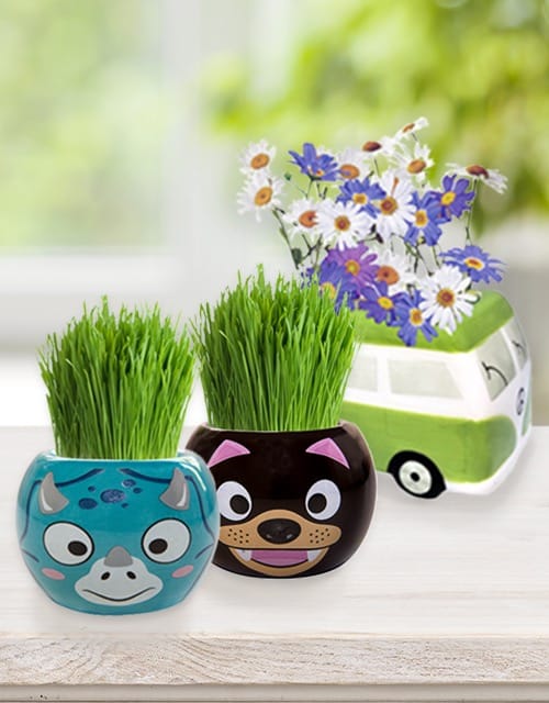 Kids’ Grass Hair Kits