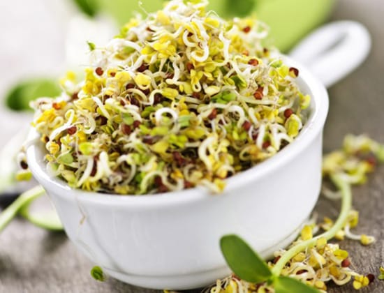 Superfood Seeds: Sprouts & Microgreens