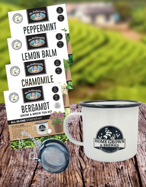 Grow & Brew Tea Kits