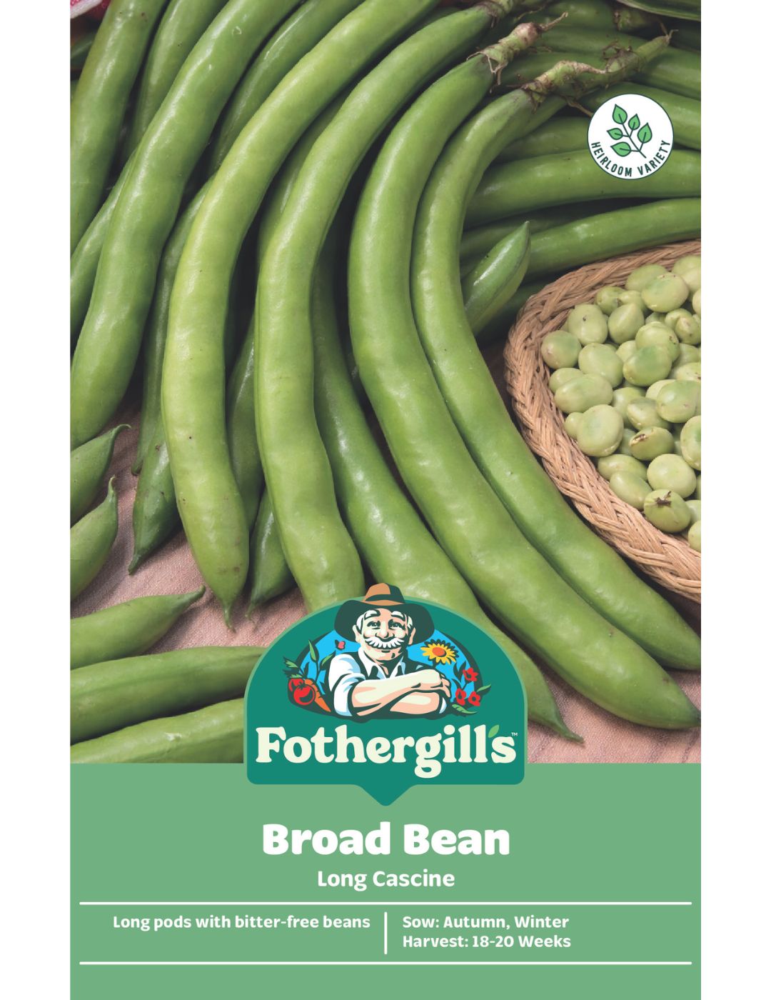 Broad Bean Long Cascine