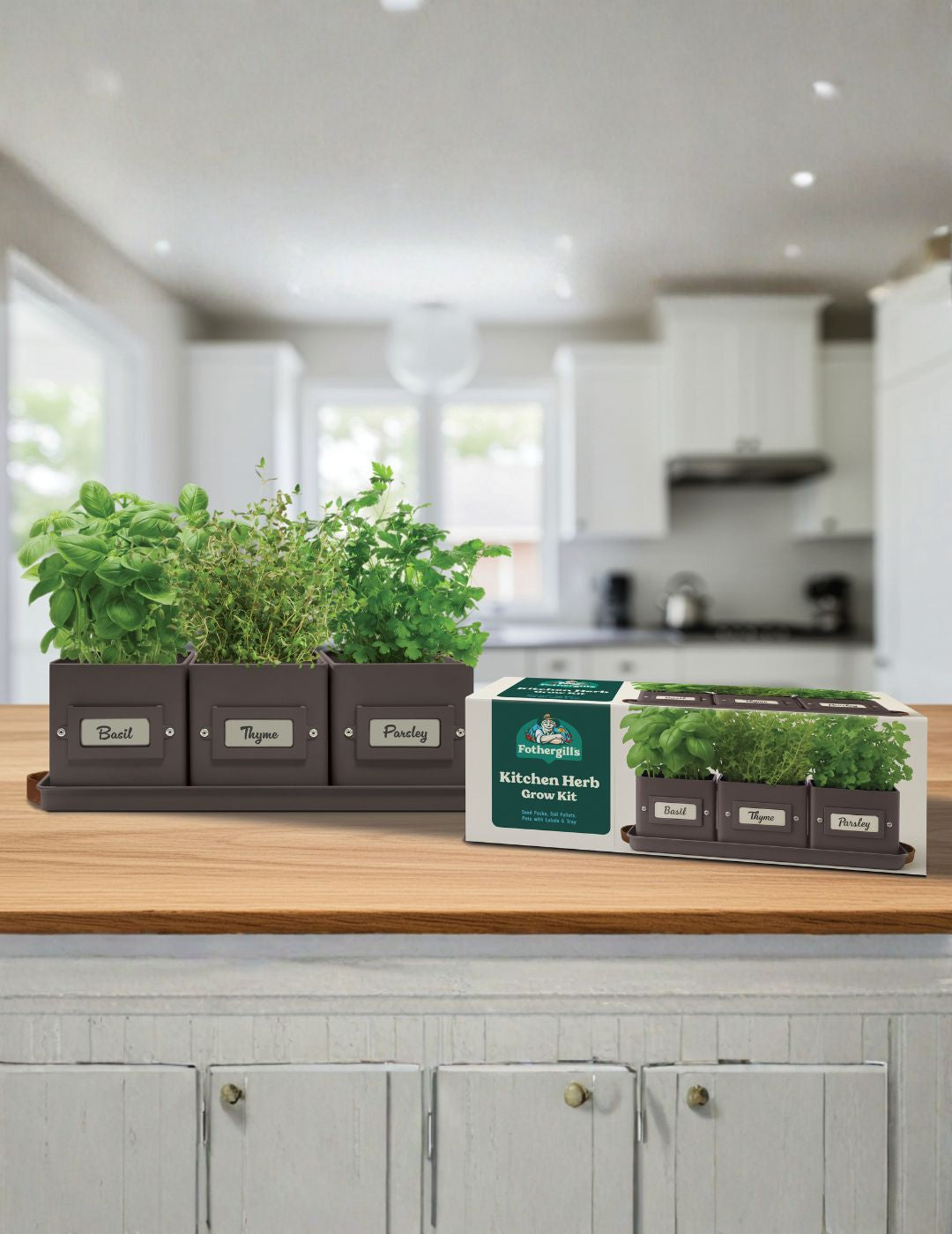 Kitchen Herb Grow Kit