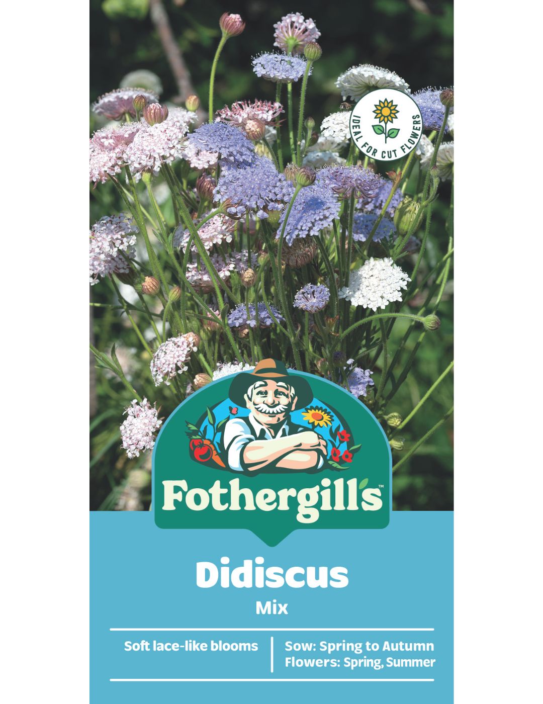 Didiscus Mix