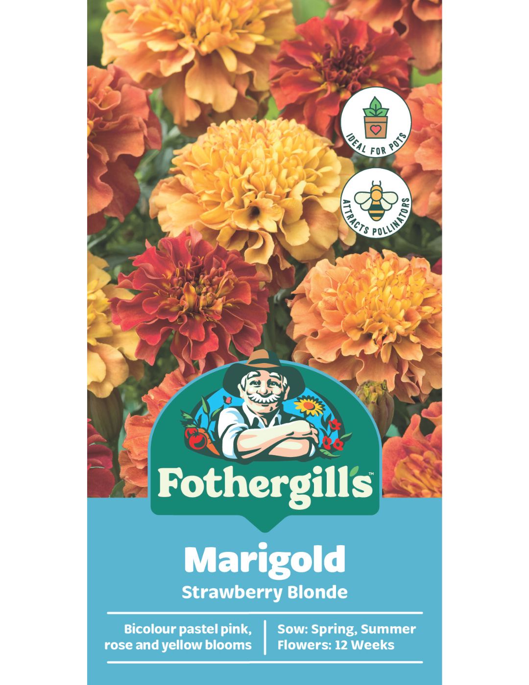 Marigold Strawberry Blonde