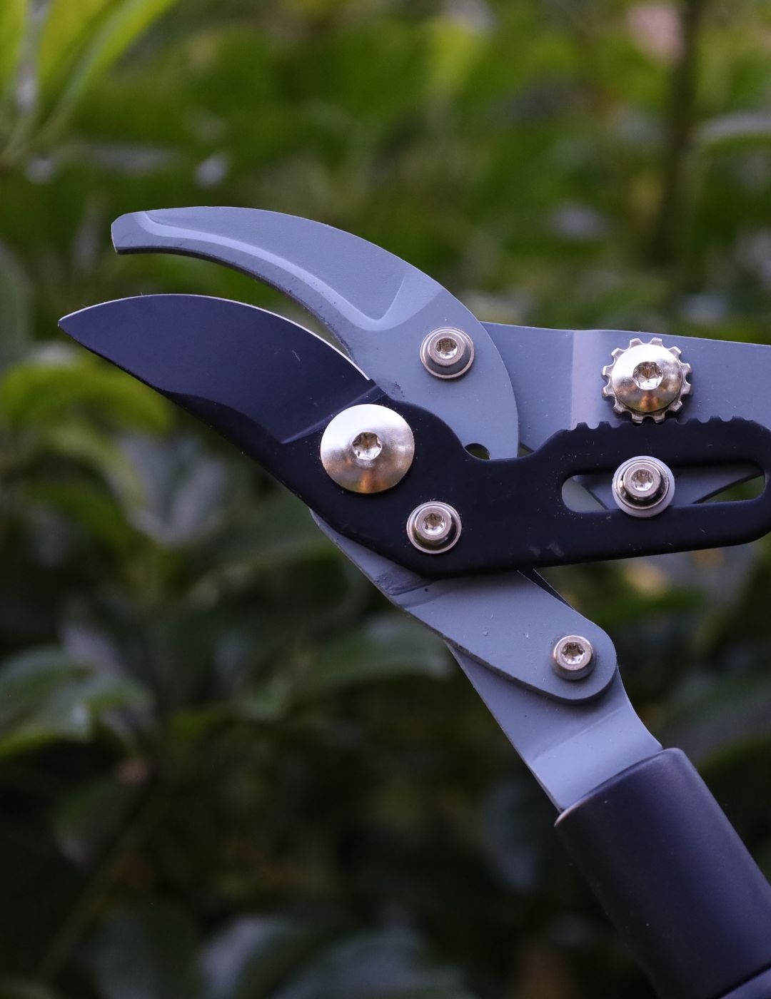 Darlac Telescopic Bypass Lopper