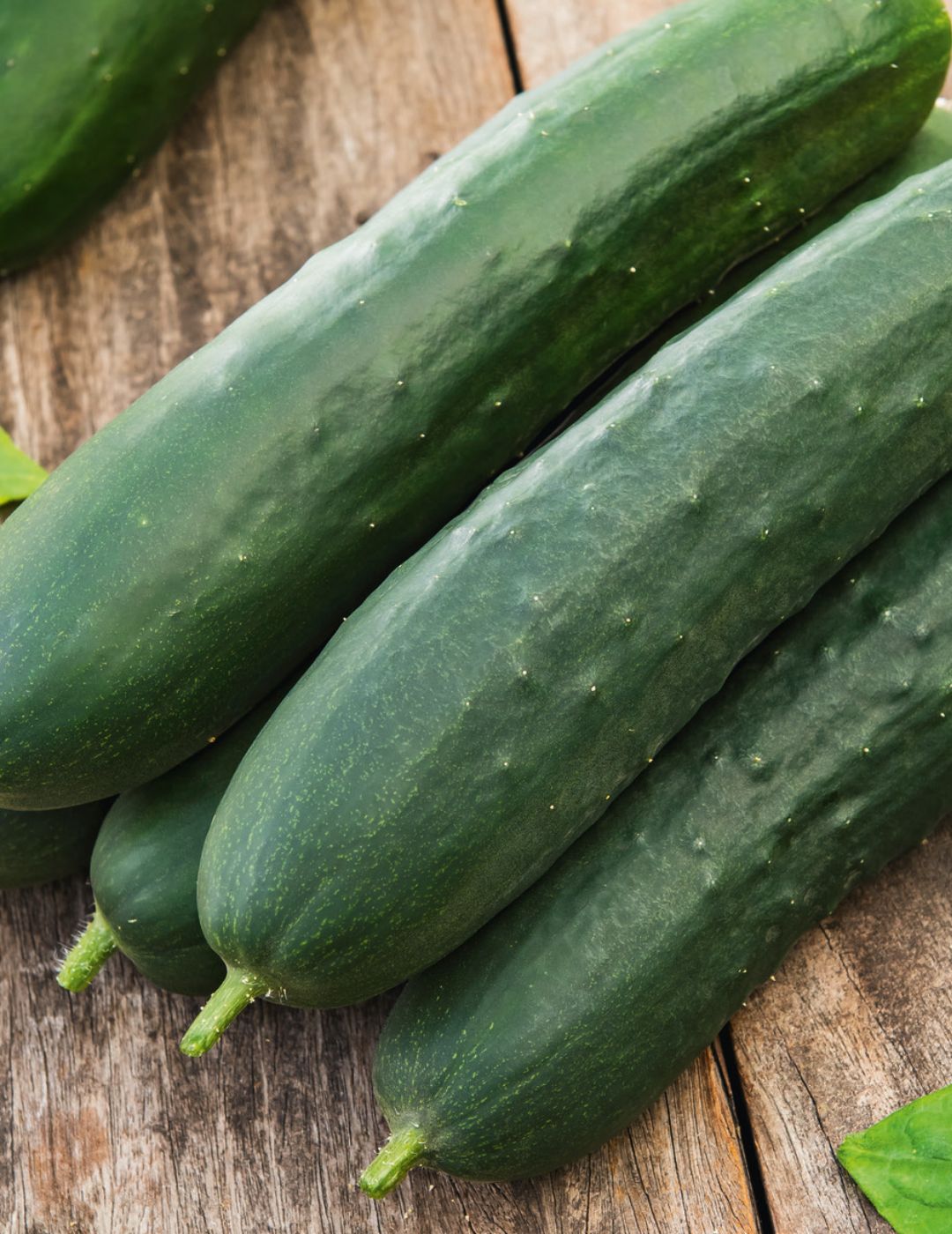 Cucumber Long Green Supermarket