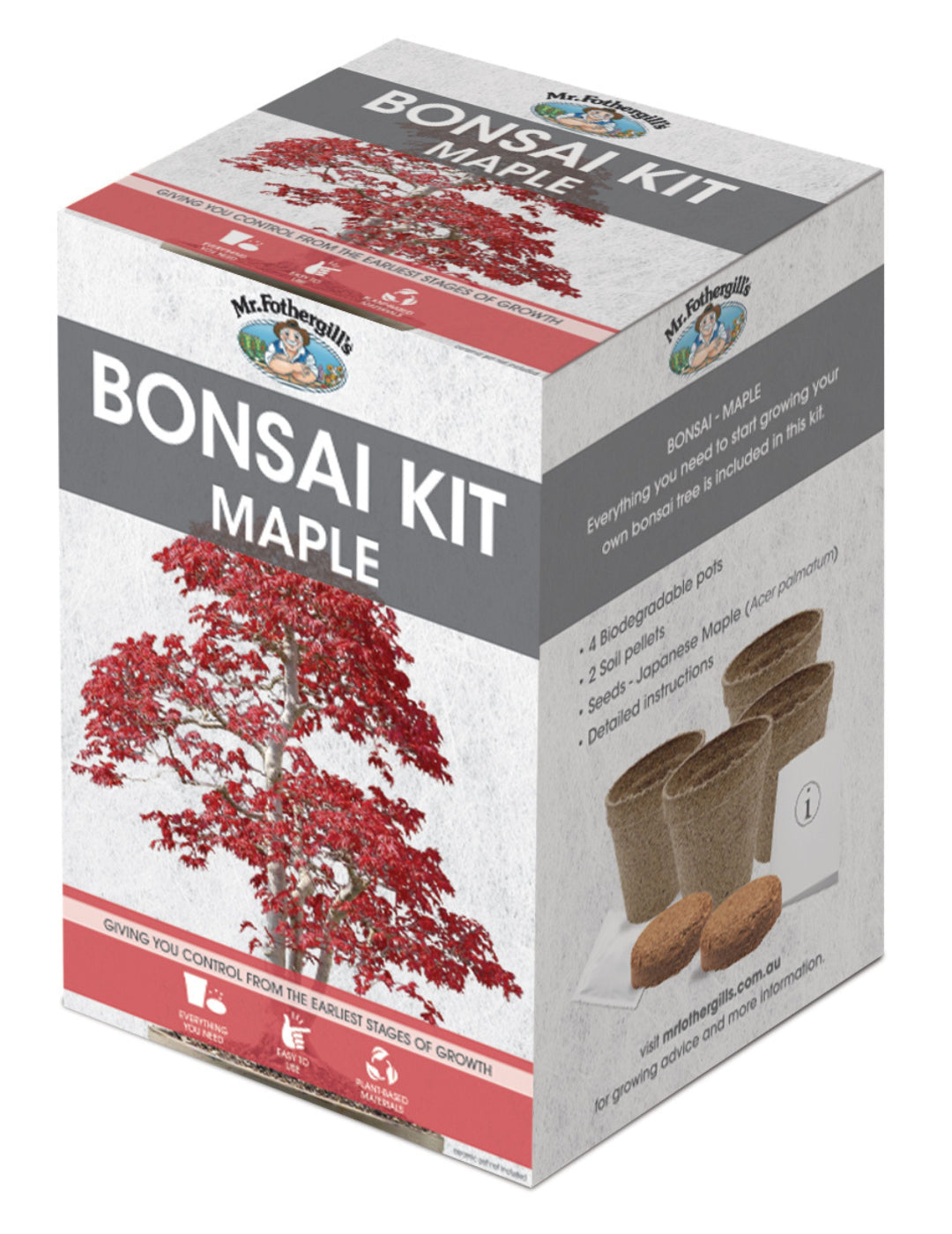 Bonsai Starter Kit - Maple