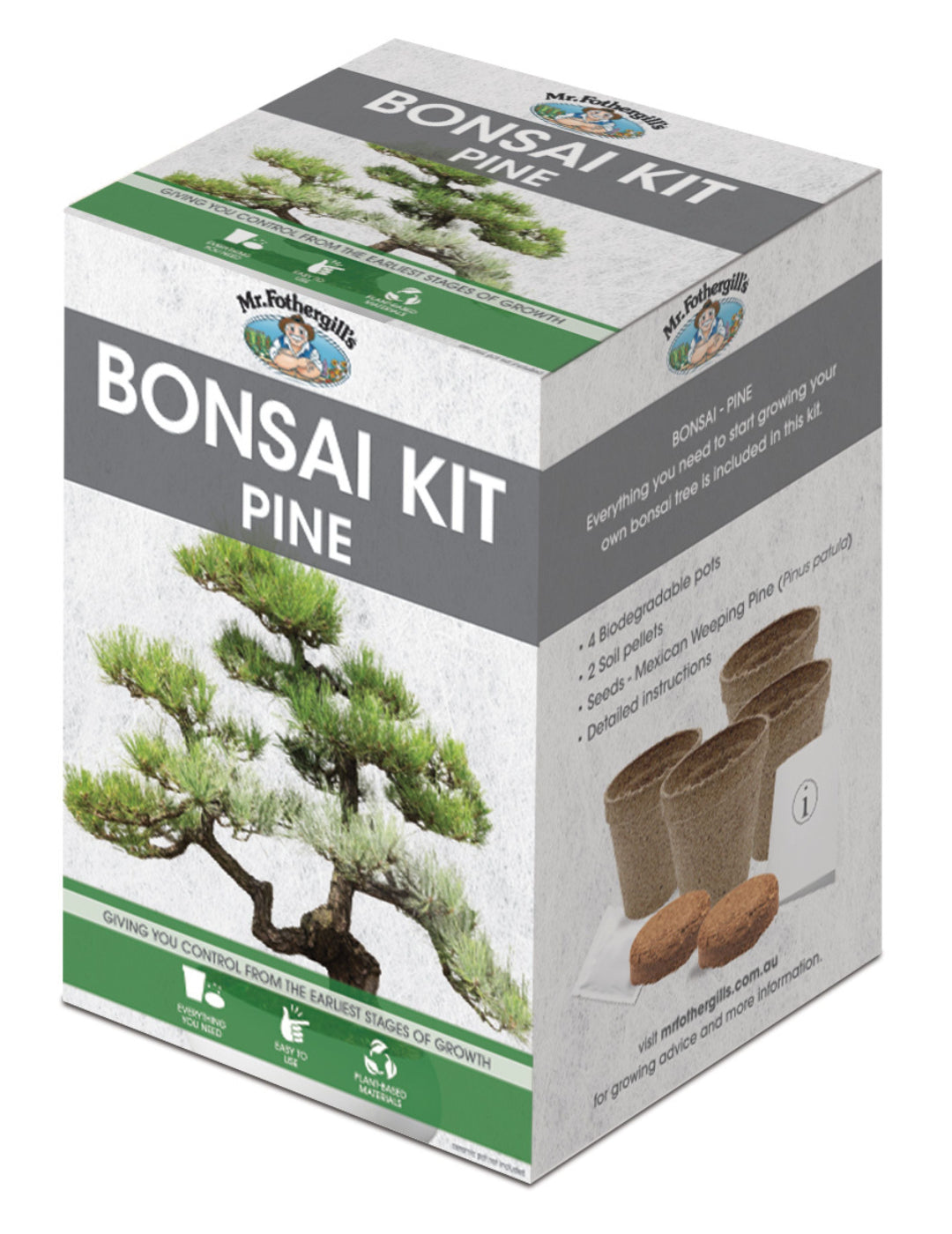 Bonsai Starter Kit - Pine