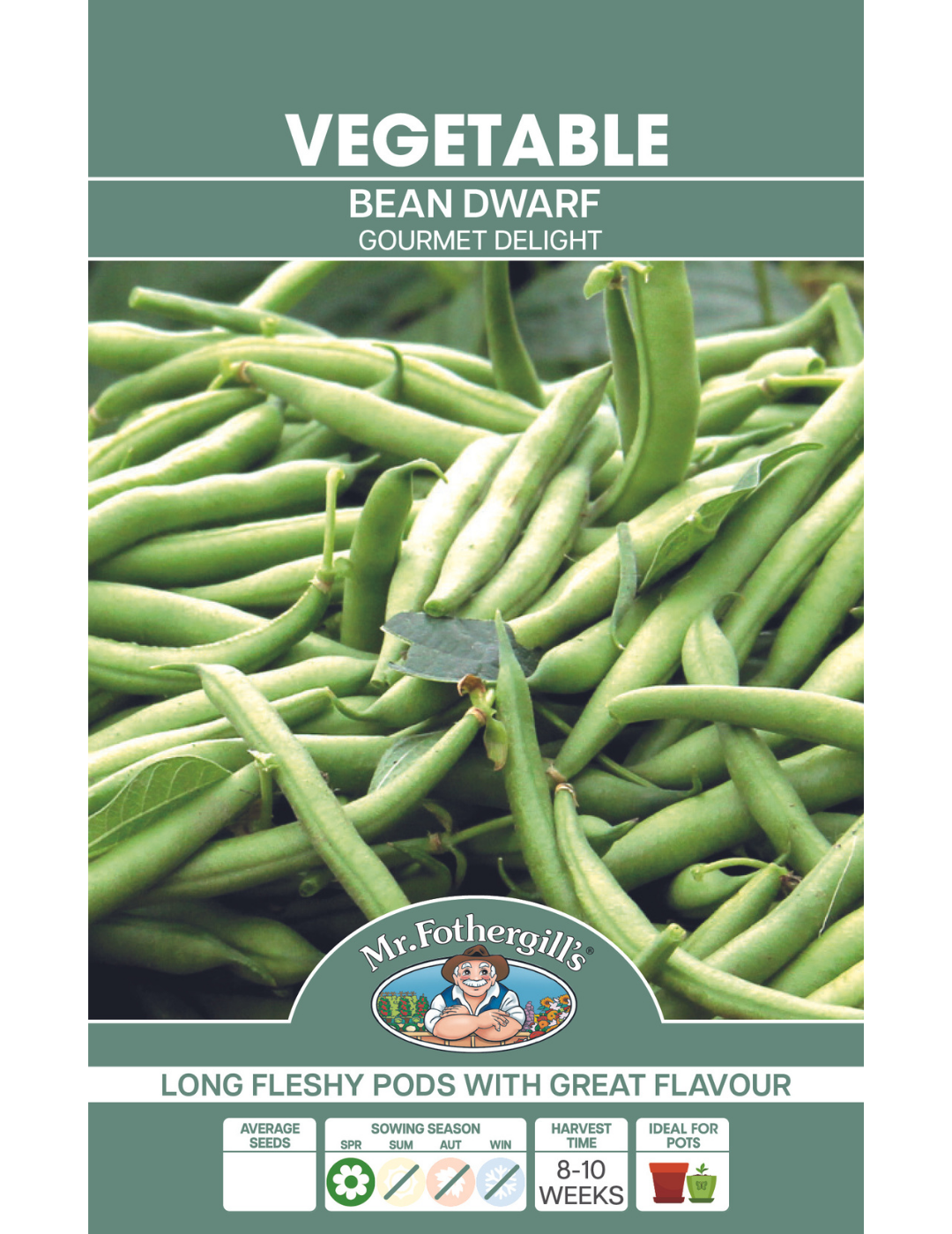 Bean, Dwarf Gourmet Delight