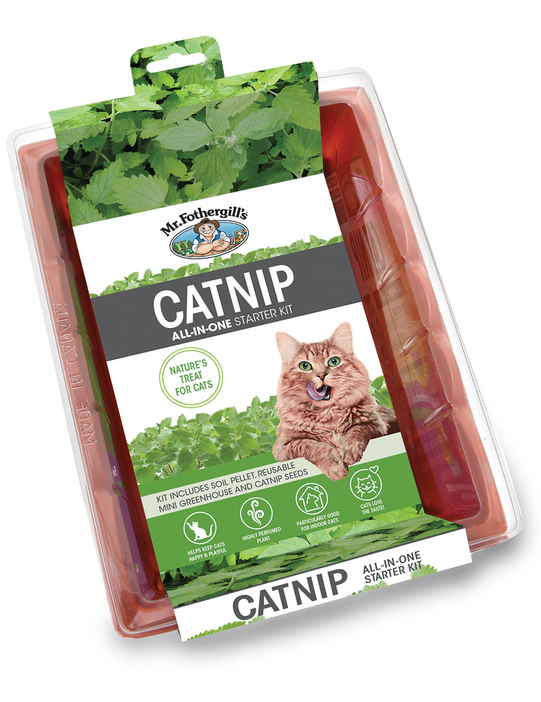 Catnip Seed Raiser Kit