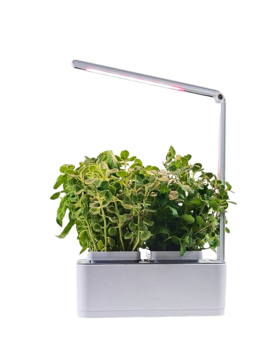 HydroGarden Original