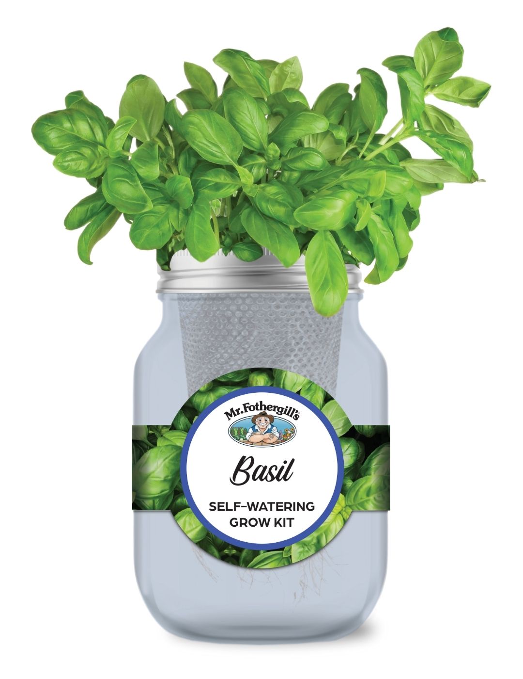 Self Watering Mason Jar Grow Kit - Basil Sweet