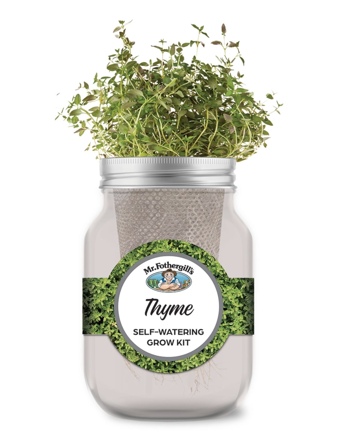 Self Watering Mason Jar Grow Kit - Thyme