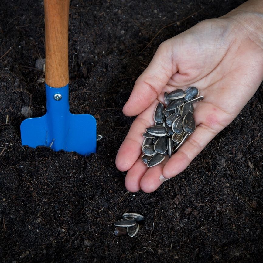 Untitled_design_12_cbf07c3f-26a1-469a-8c03-472902d40d37