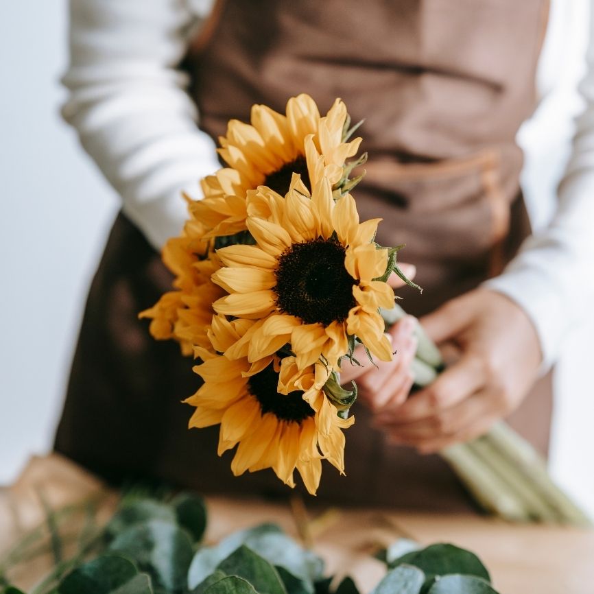 Untitled_design_14_aa200104-fde8-44d6-807d-5c065dc57709