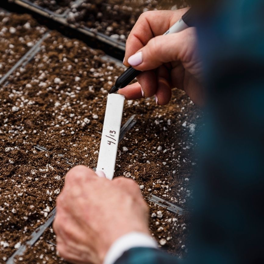 Untitled_design_21_b67da9d1-34ec-4f96-bbfe-4eca4254b402