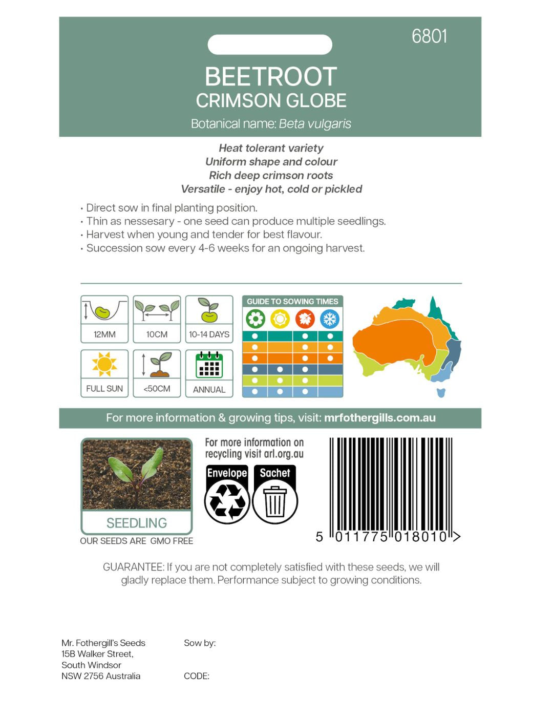 Beetroot Crimson Globe VALUE PACK