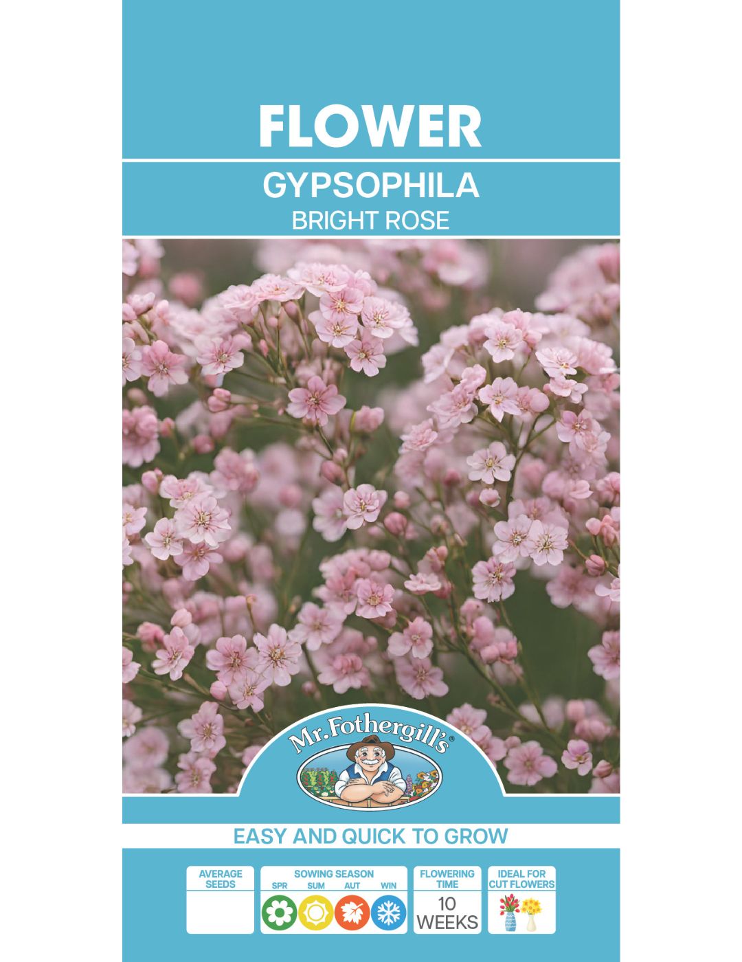 Gypsophila Bright Rose Seeds