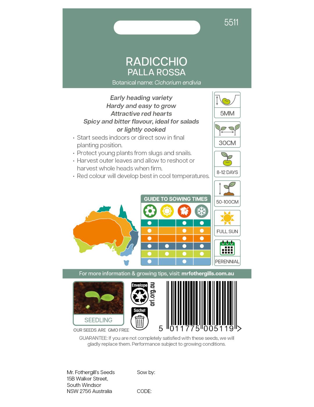 Radicchio Palla Rossa