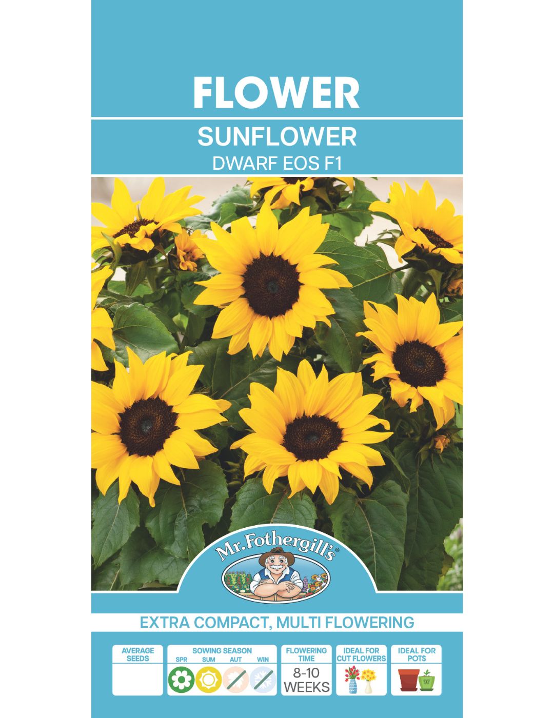 Sunflower Dwarf Eos Seeds