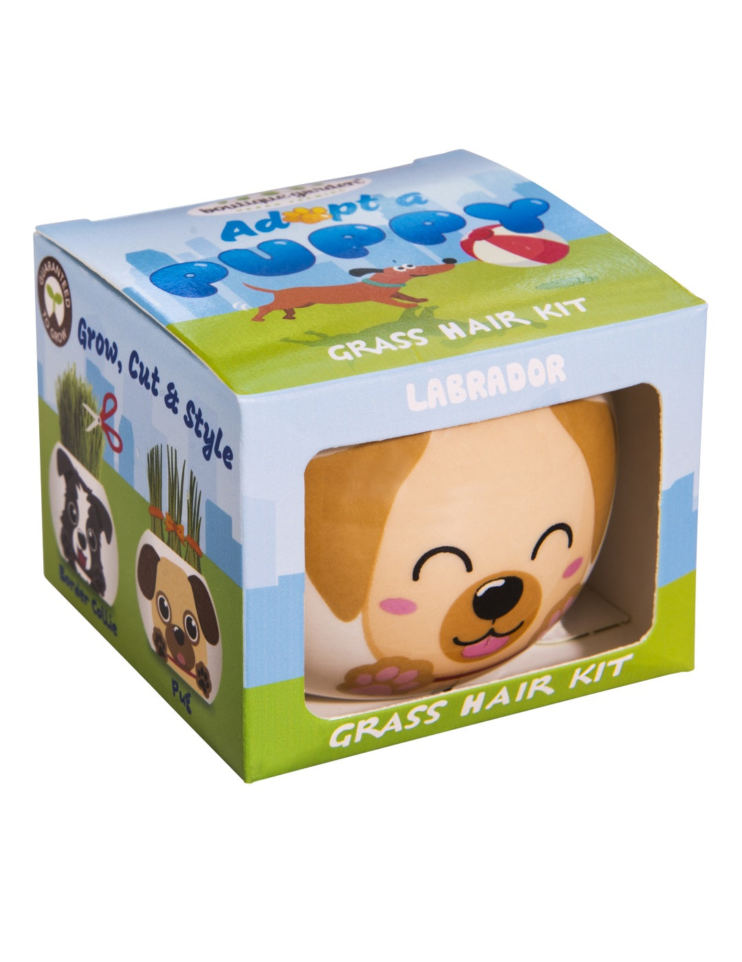 Grass Hair Kit - Puppies (Labrador)