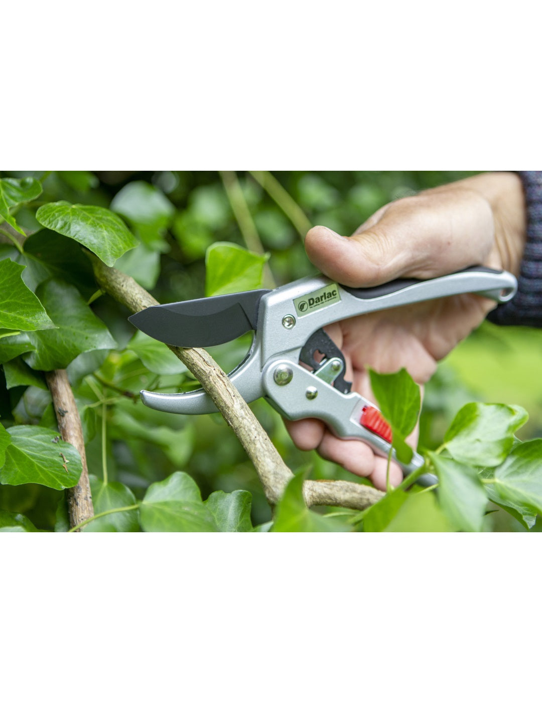 Darlac Super Classic Ratchet Anvil Pruner Secateurs