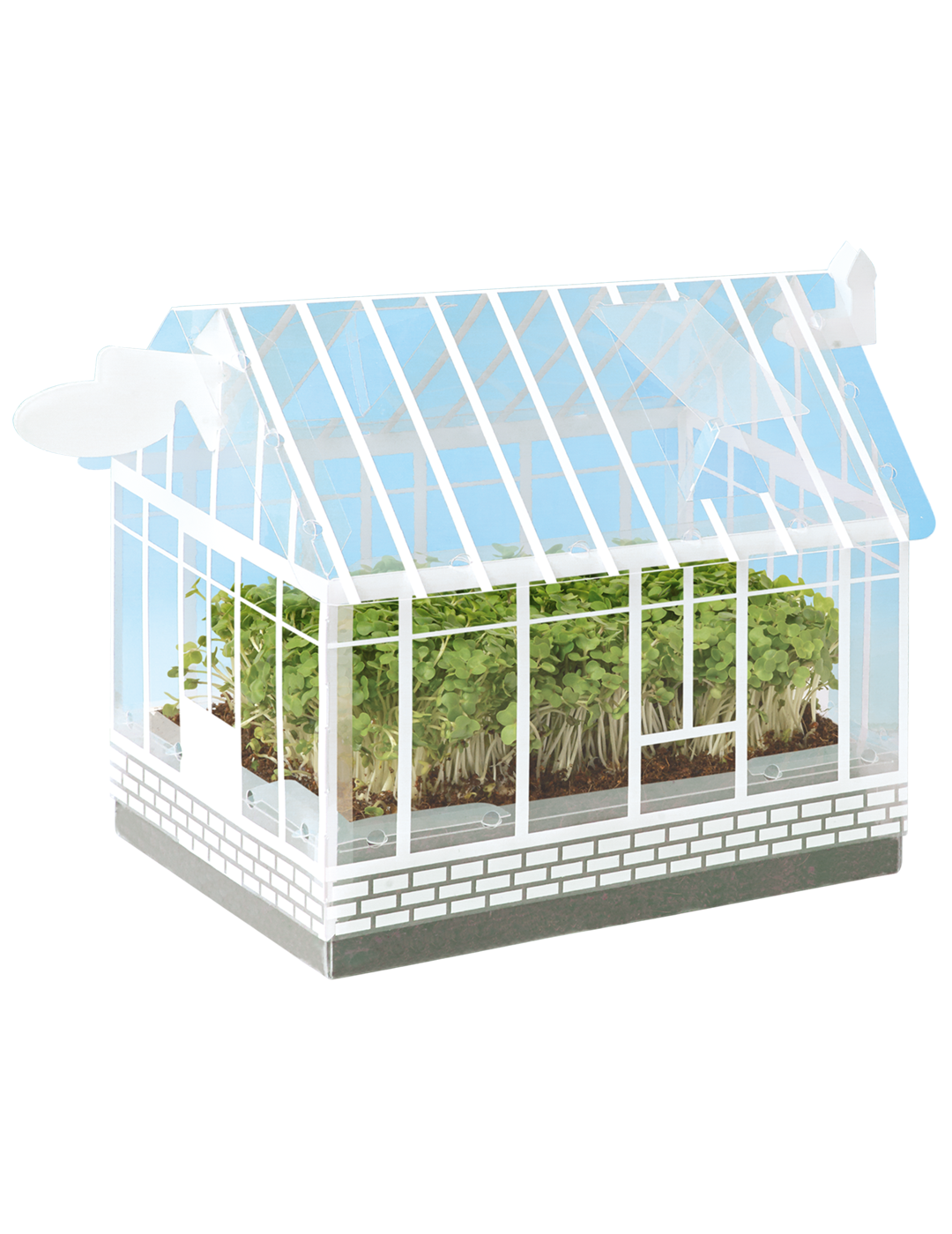 Little Gardeners Mini Greenhouse Kit