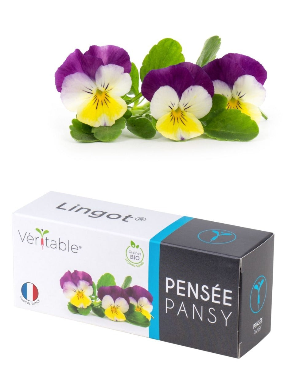 Véritable® Seed Lingot® - Pansy Yellow Jump