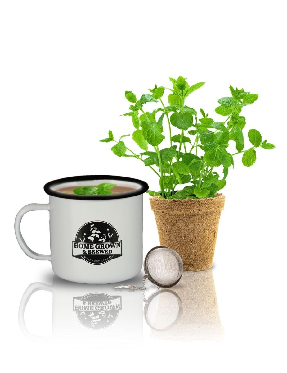 Grow & Brew Tea Kit - Peppermint