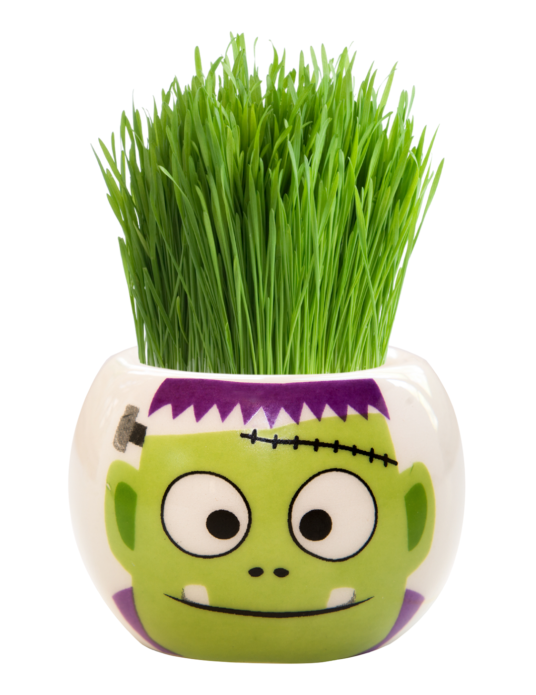 Grass Hair Kit - Halloween Party (Frankenstein)