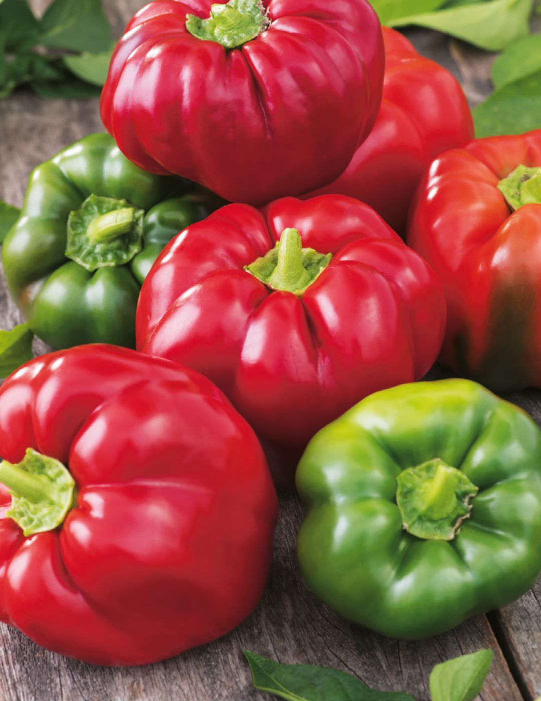 Capsicum Californian Wonder (Organic)