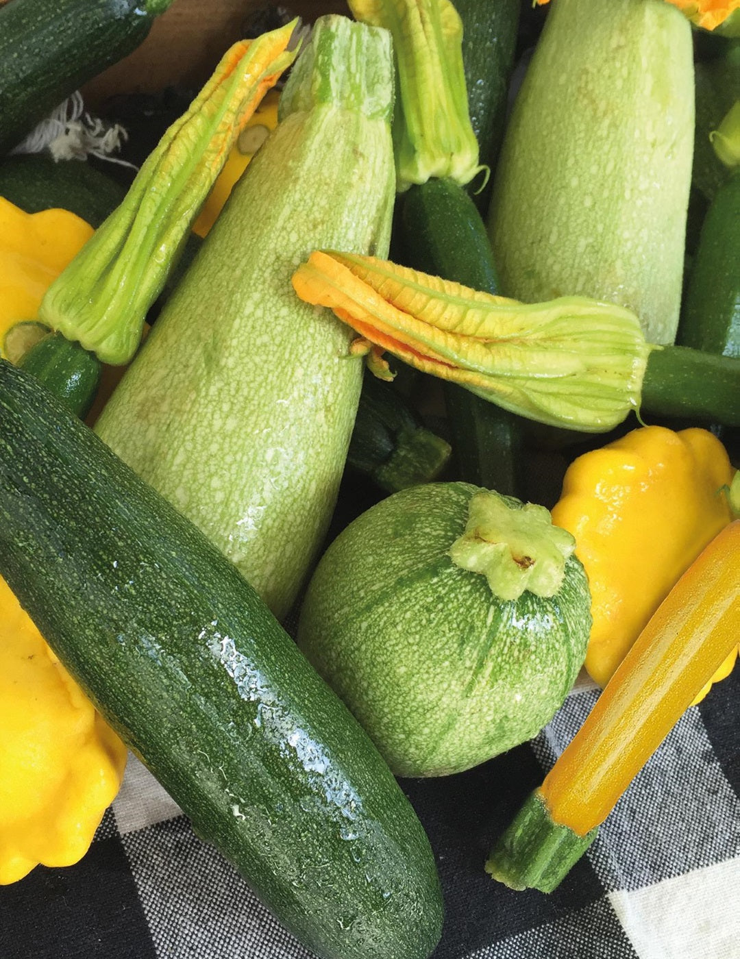 Zucchini Gourmet Mix