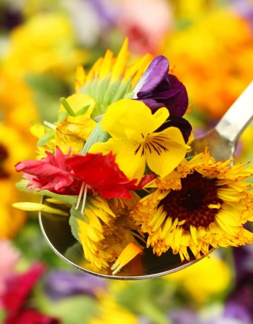 Edible Flower Seeds