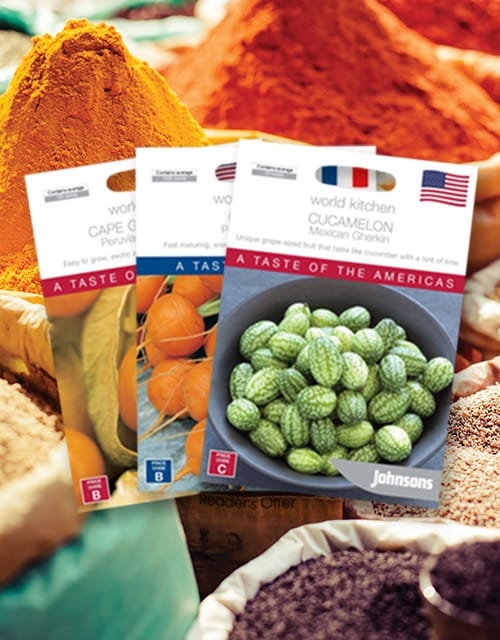 Johnsons World Kitchen