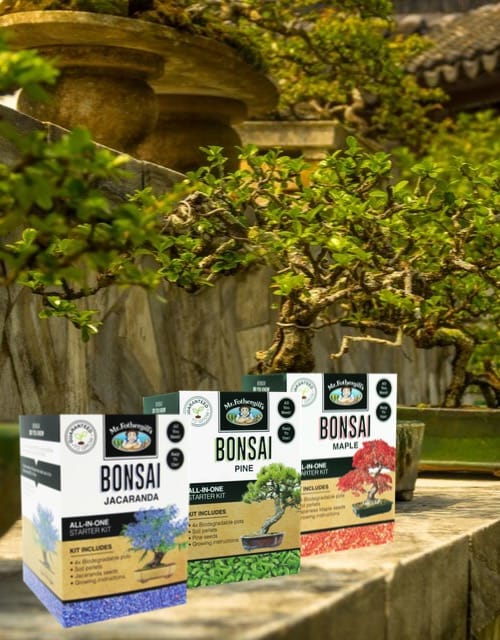 Bonsai Starter Kits