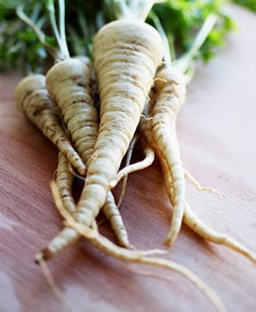 Parsnip Seeds