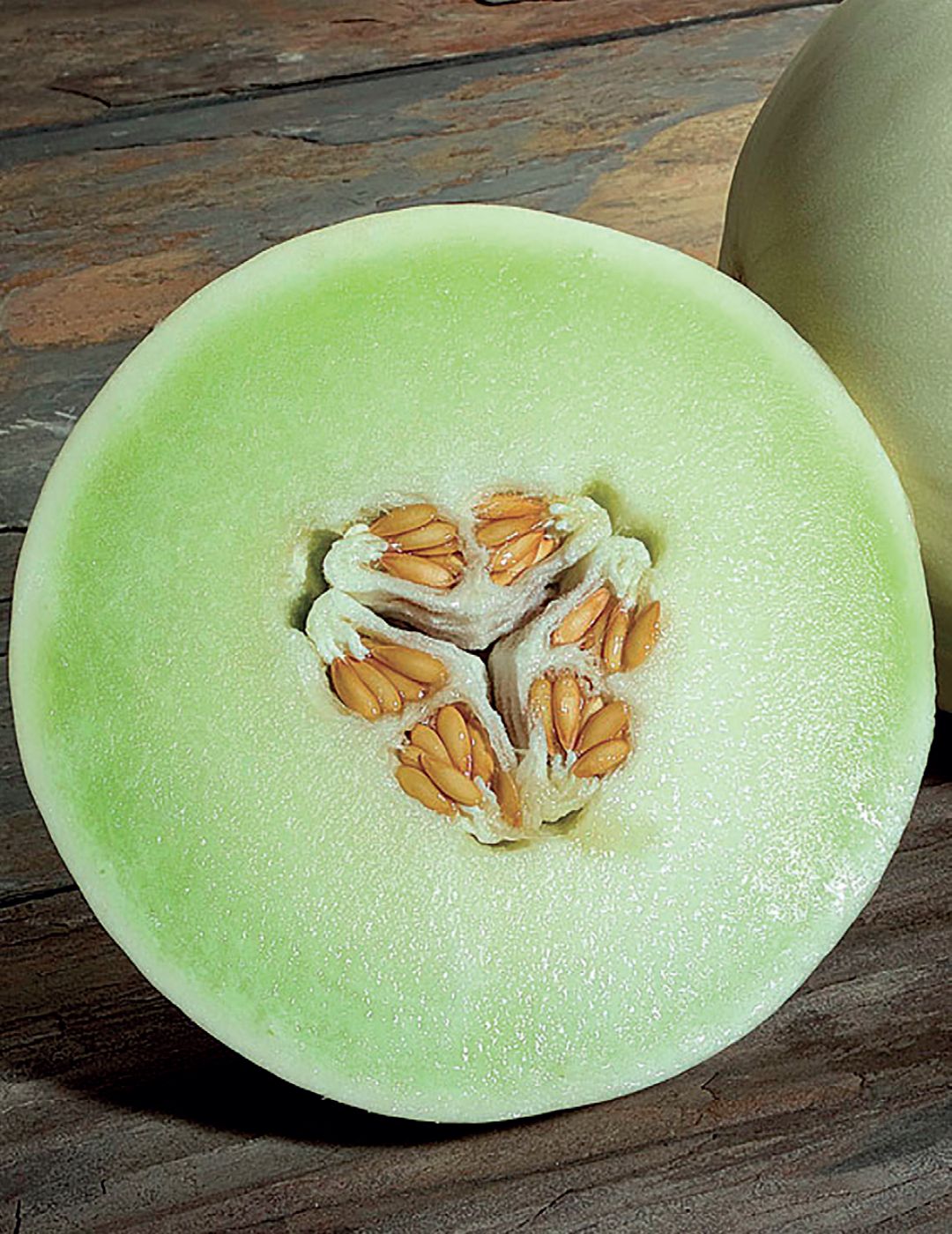 Honeydew Melon