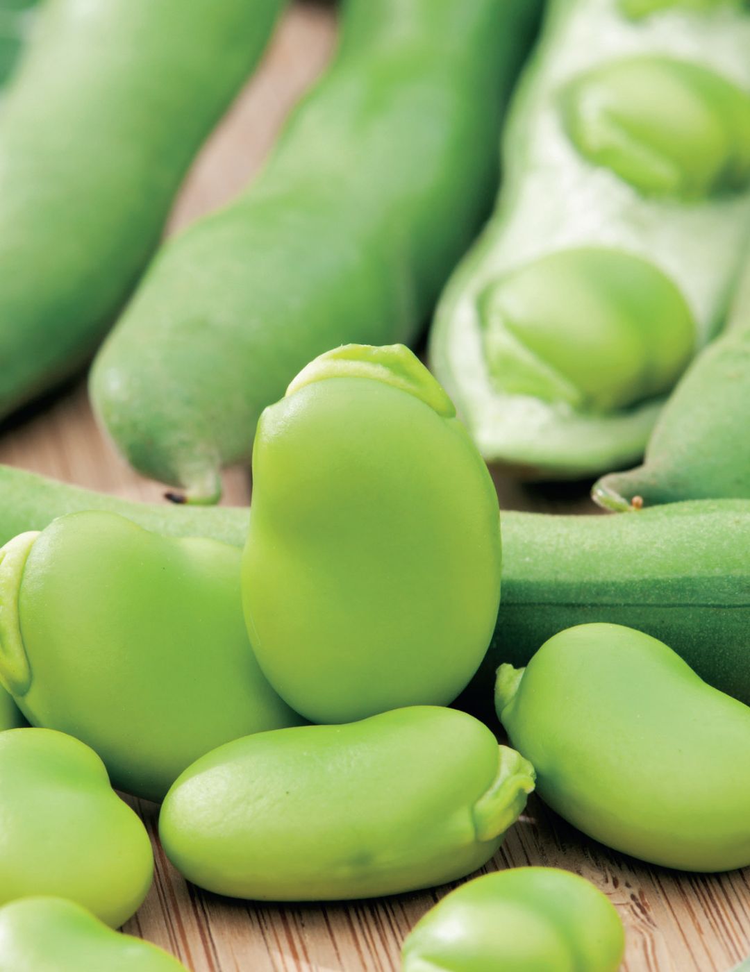 Broad Bean Superaguadulce