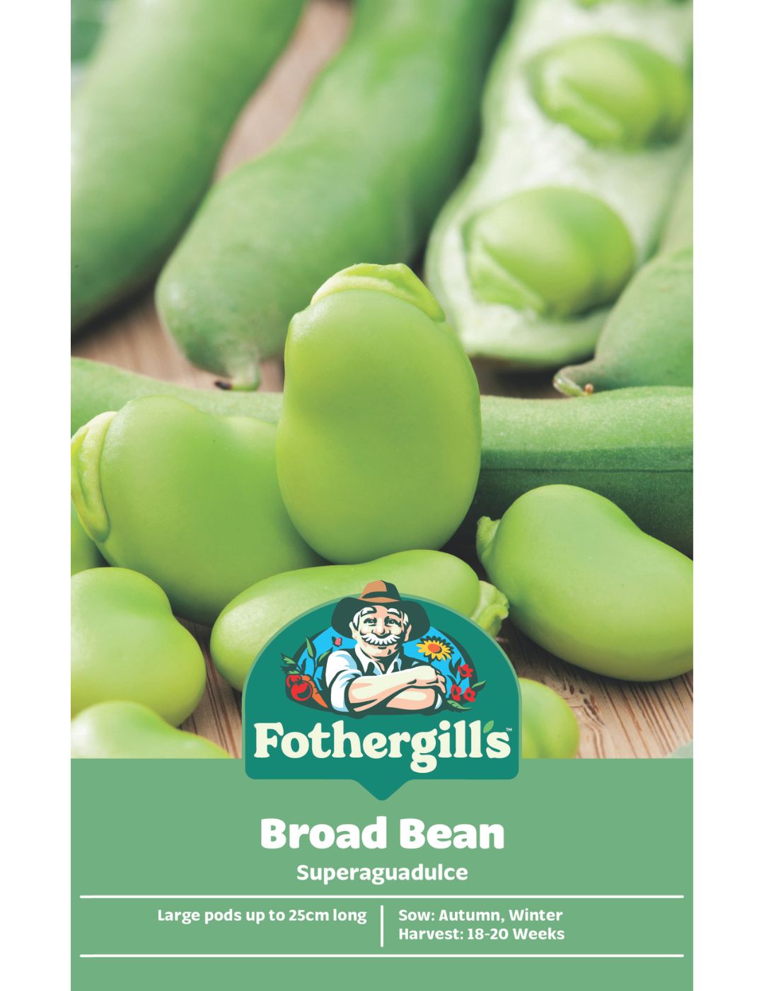 Broad Bean Superaguadulce