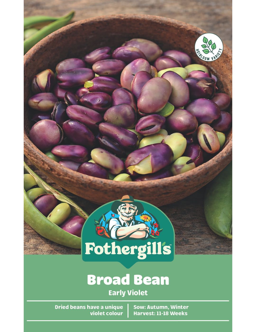 Broad Bean Early Violet