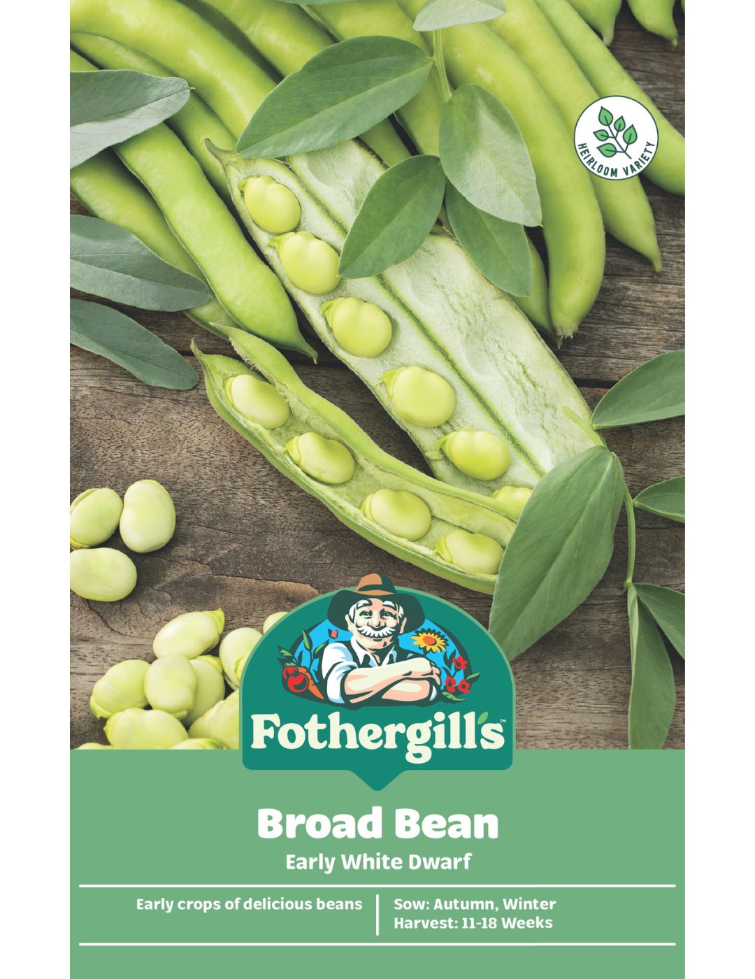Broad Bean Early White Dwarf