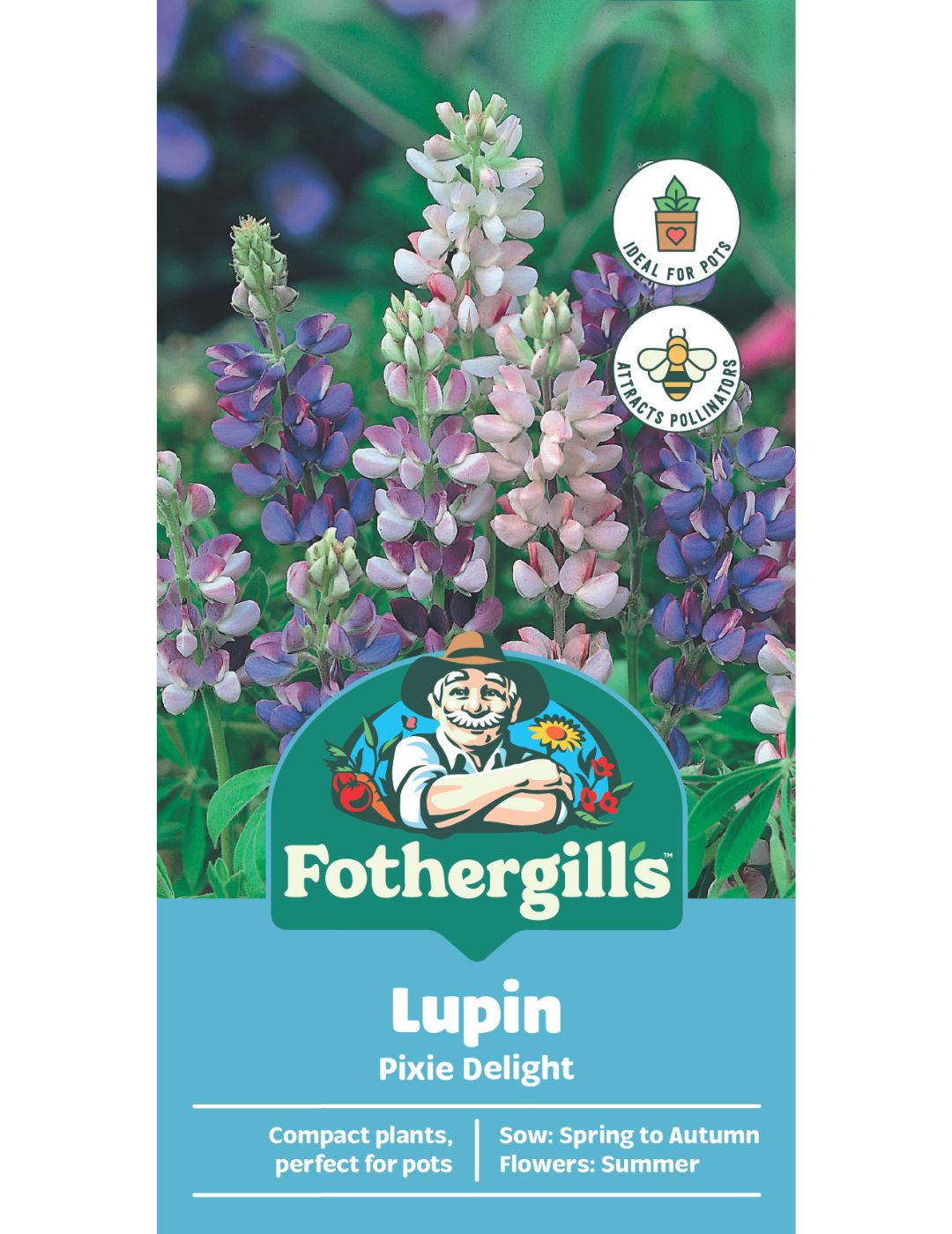 Lupin Pixie Delight