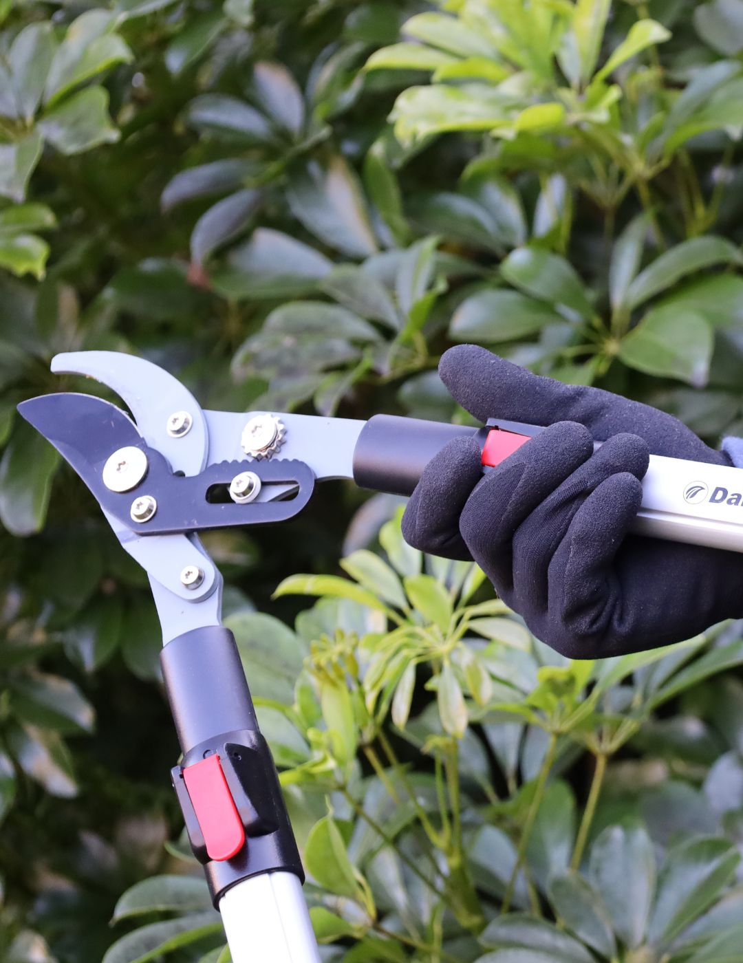 Darlac Telescopic Bypass Lopper