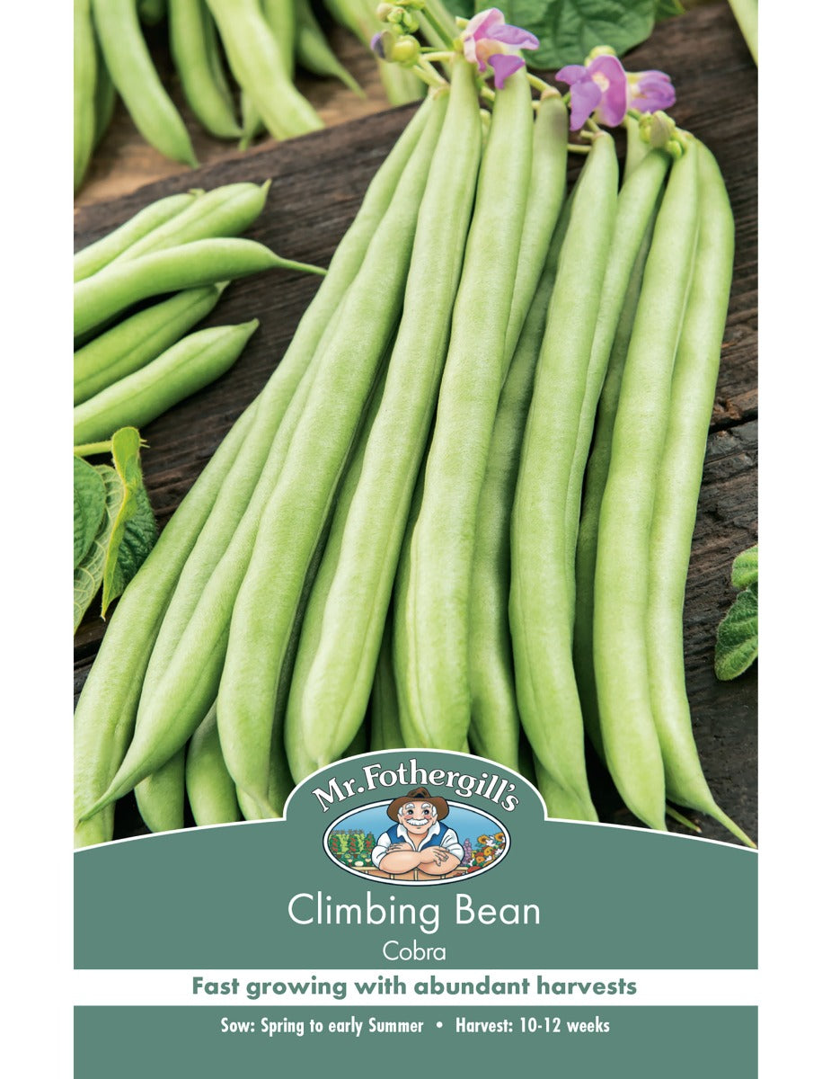 Bean, Climbing Cobra