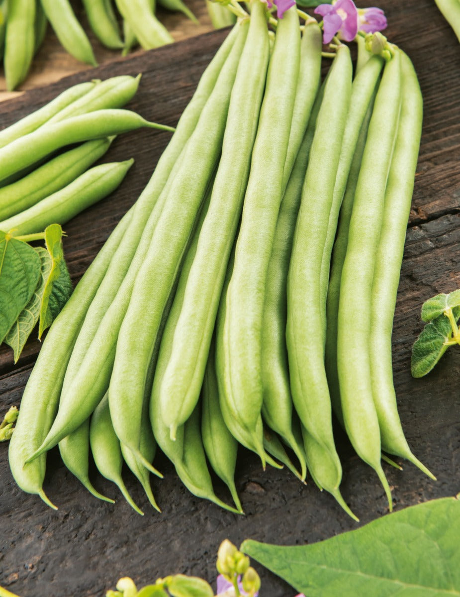 Bean, Climbing Cobra