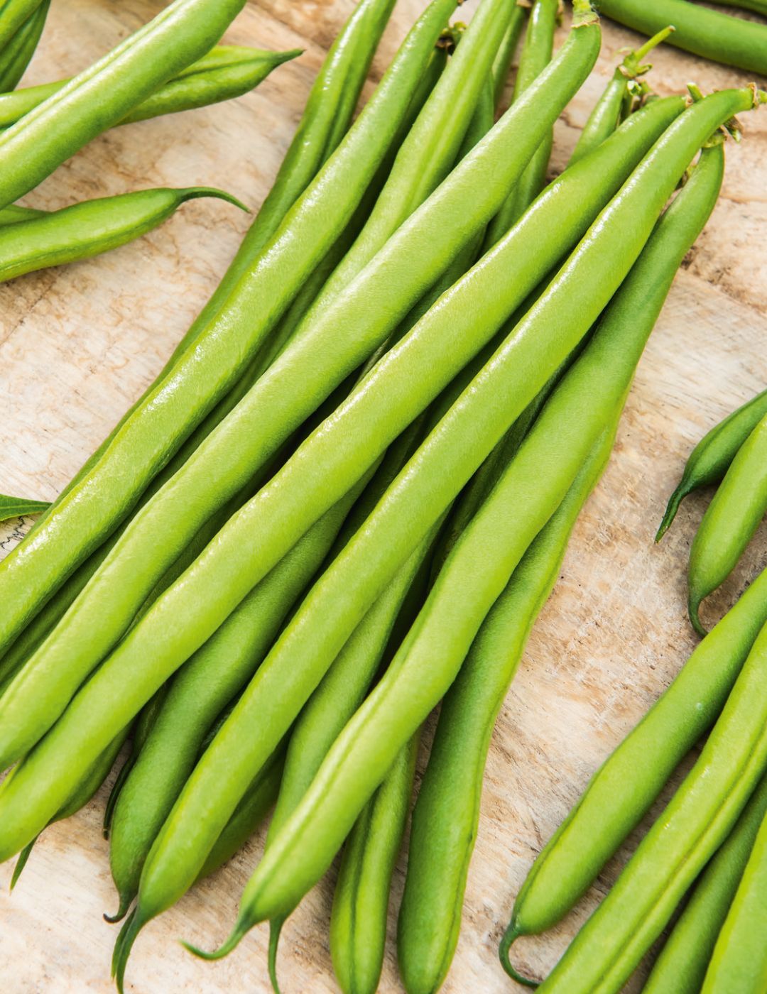 Bean, Dwarf Snap Bean