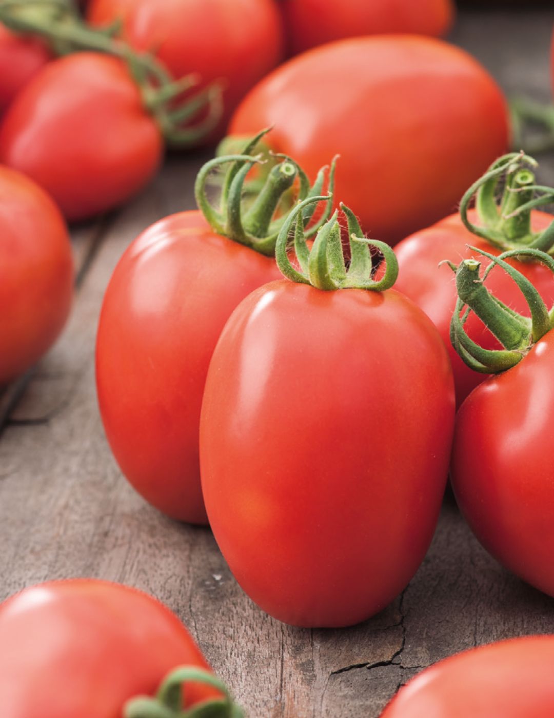 Roma Tomato Seeds (VF)